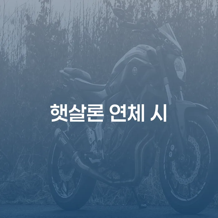 법인채무 개인회생 제도 사례확인하고