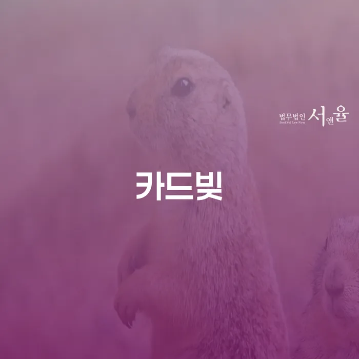 파산선고 빚 합법적인 빠른방법 무료상담