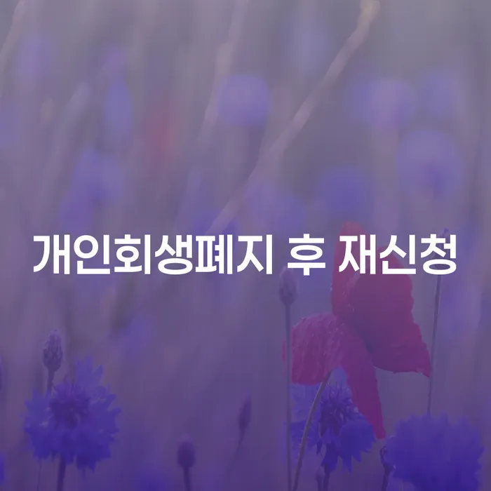 정부대환대출 연체 시 개인회생으로 해결방법 무료상담