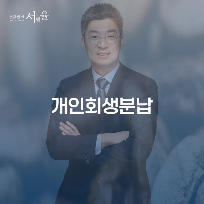 채무조정제도 개인회생 제도 있을까요?