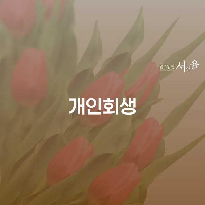 강릉시 대출미납 대출 받은 돈채무조정 결정나고