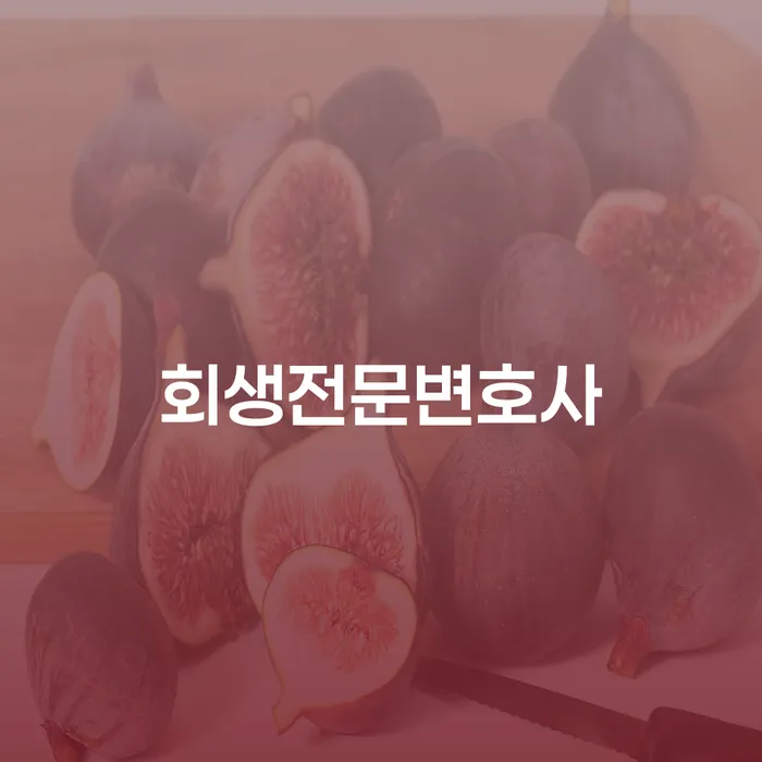 세종시 급여가압류 빚청산 최선의 선택