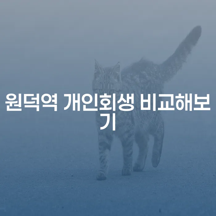 원덕역 개인회생 비교해보기
