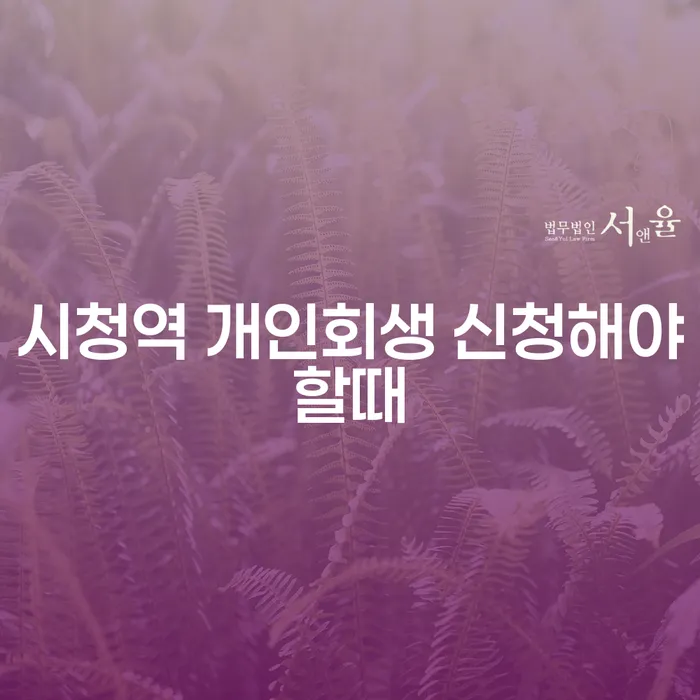 시청역 개인회생 신청해야할때