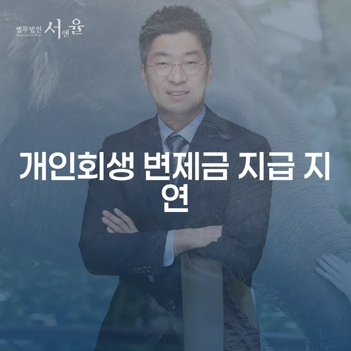 개인회생 변제금 지급 지연 문제를 어떻게 해결할 수 있을까요?