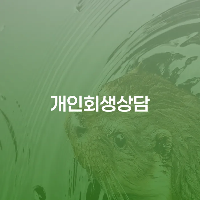 묵2동 개인회생상담으로 시작하는 채무 해결의 길