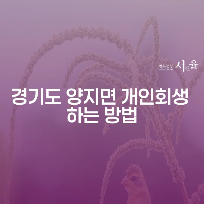 경기도 양지면 개인회생 하는 방법은 무엇인가요?