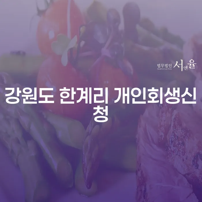 강원도 한계리 개인회생신청, 어떻게 준비해야 할까요?