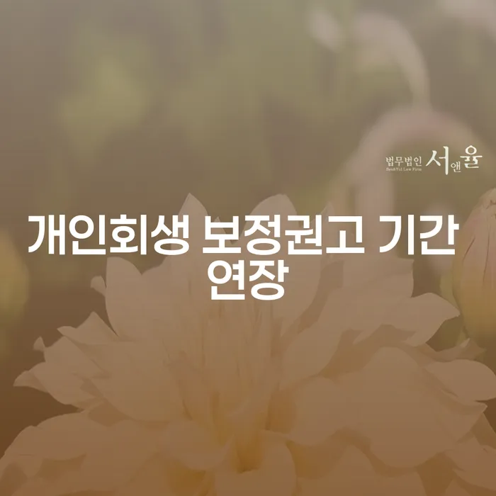 개인회생 보정권고 기간 연장이 필요한 이유는 무엇일까요?