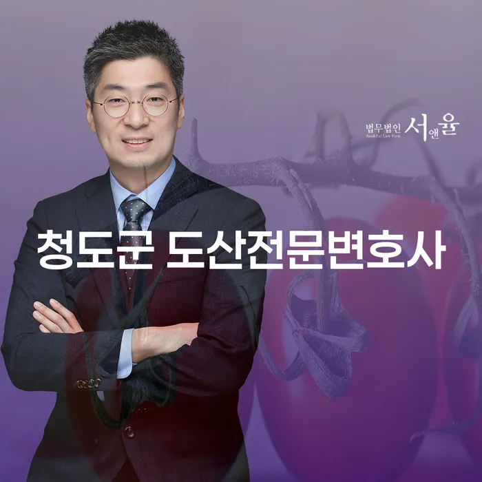 청도군 도산전문변호사와 청양군 개인회생, 당신에게 필요한 해결책은 무엇일까요?